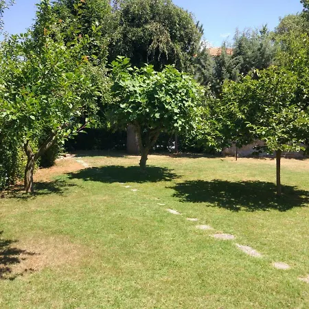 Apartmani Natasa Vantacici Exterior photo